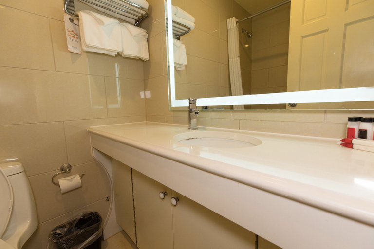 Bathroom 3, Romana Hotel - NYC, New York