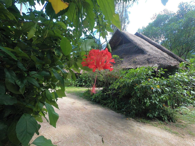 Scenery 21