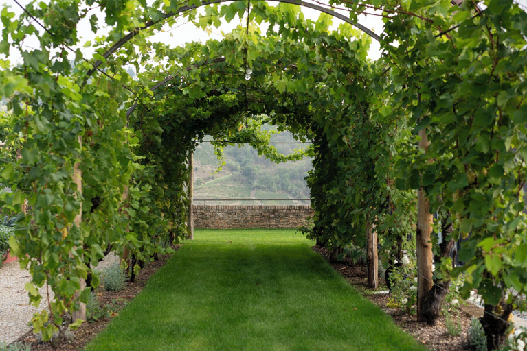 Others 4, Luxury Langhe Pool Vigne Di Fagnano, Cuneo