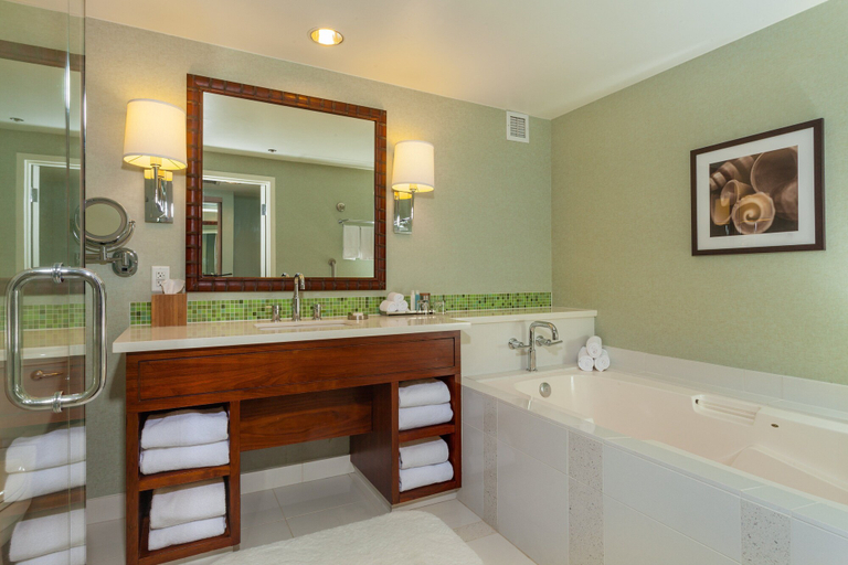 Bathroom 5, Loews Coronado Bay, San Diego