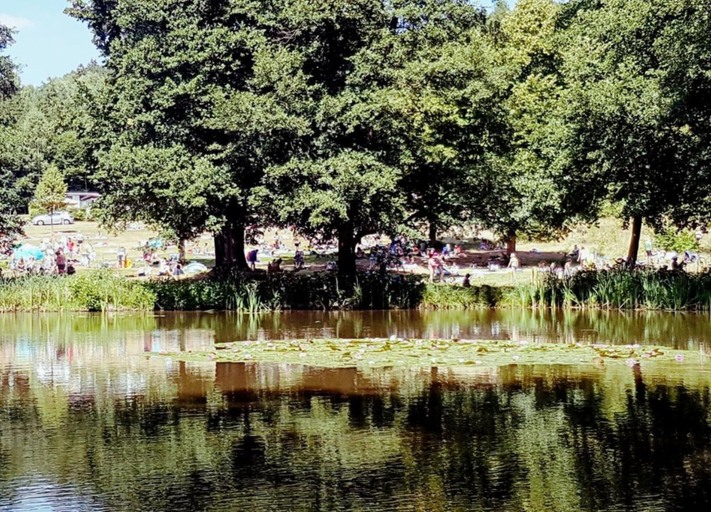View from property 4, Charmantes Ferienhaus mit Naturgarten, Schmalkalden-Meiningen