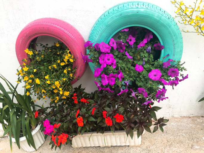 Others 4, Thu Linh homestay, Đà Lạt
