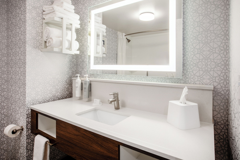Bathroom 4, Hampton Inn & Suites La Grande, Or, Union