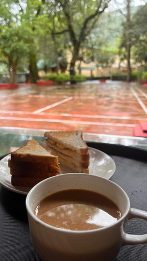 4, Hilltop Manor, Nainital