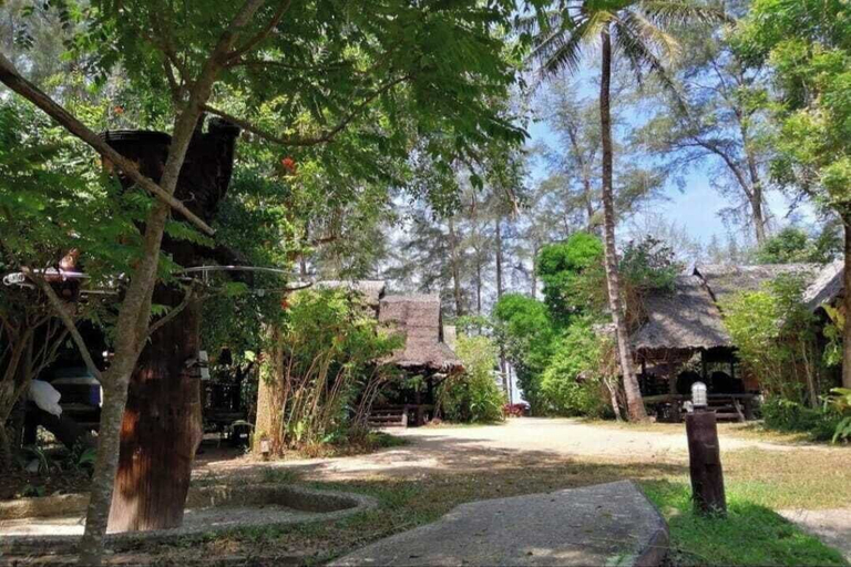 Scenery 19