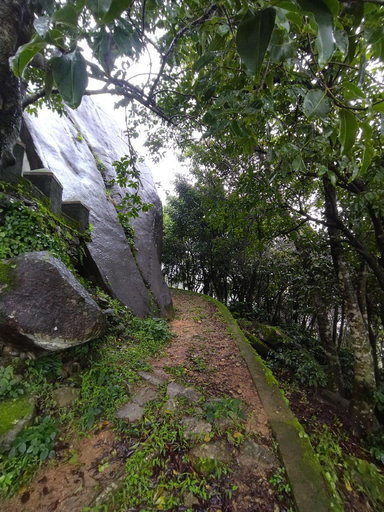 Others 2, Cozy Camp Homestay , Chikmagalur