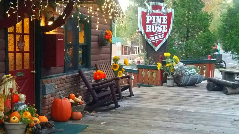 Public Area 2, Arrowhead Pine Rose Cabins, San Bernardino