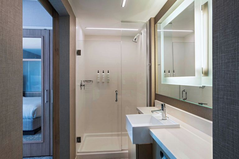 Bathroom 5, SpringHill Suites by Marriott Austin Cedar Park, Williamson
