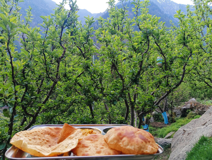 Food & Drinks, Harsiwoodstone woodstone orchardstay, Uttarkashi