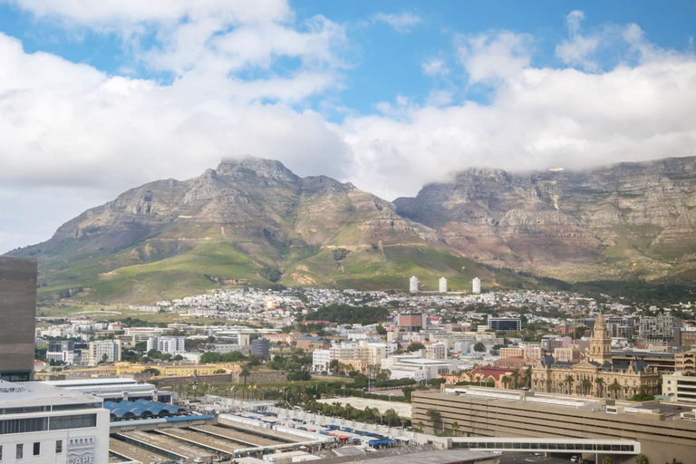 Room 4, Mountain View Cape Town Apt City Suite 1614, City of Cape Town