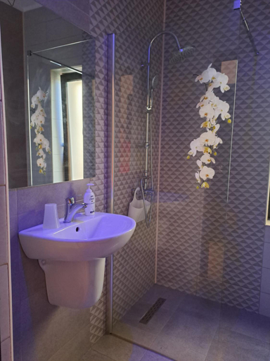 Bathroom 2, Casa Constantin Vic, Tuzla