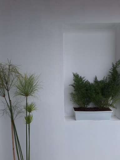 Others 2, Casa Alba, Capital