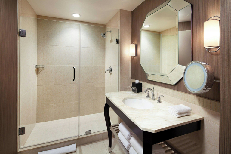 Bathroom 5, Sheraton McKinney Hotel, Collin
