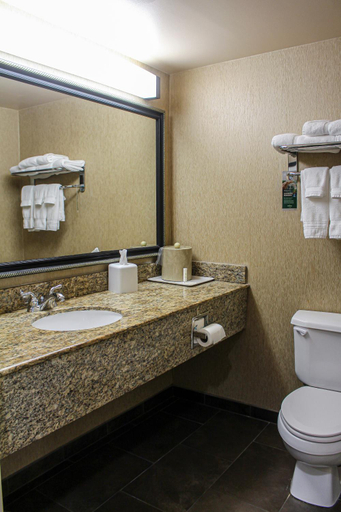 Bathroom 5, Wingate By Wyndham Little Rock, Pulaski