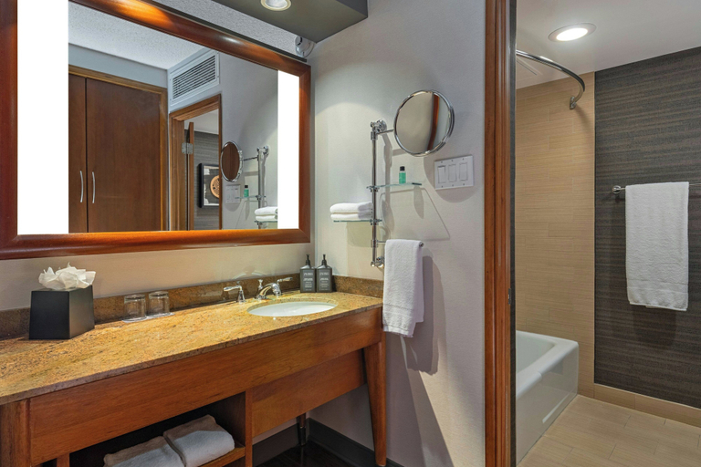 Bathroom 4, Sheraton Albuquerque Airport Hotel, Bernalillo