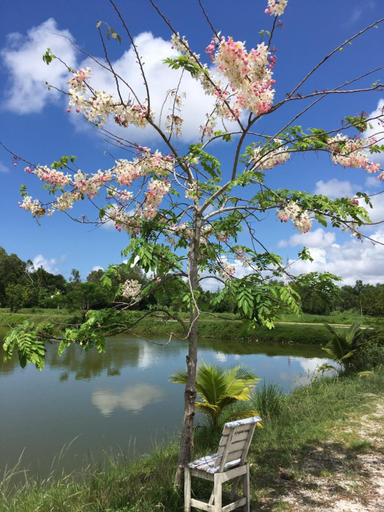 Others 5, Sarocha Resort Rayong, Muang Rayong