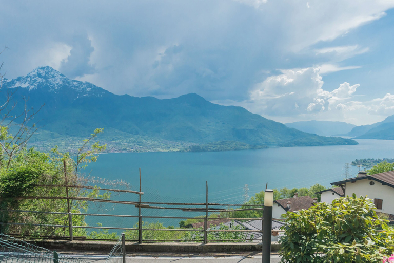 Others 5, Blooms by the Lake by Rent all Como, Como