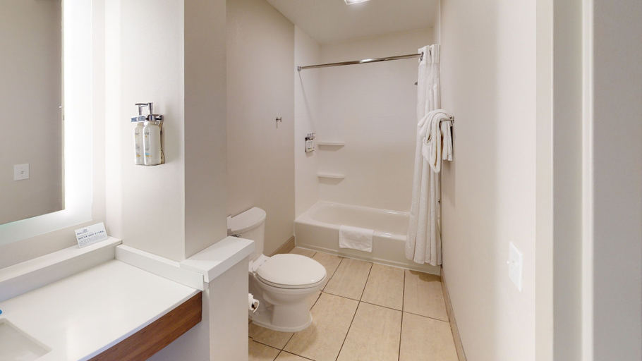 Bathroom, Holiday Inn Express SOUTH BURLINGTON by IHG, Chittenden