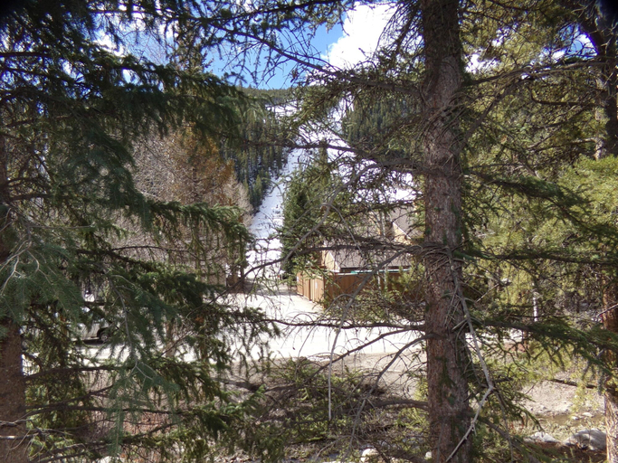 Exterior & Views 2, Chateau DuMont Oversized 2 Bed 2 Ba CDMR, Summit
