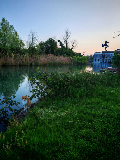 Others 4, Locazione Riv'al Sile, Treviso