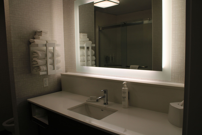 Bathroom 4, Hampton Inn & Suites Pekin Peoria Area, Tazewell