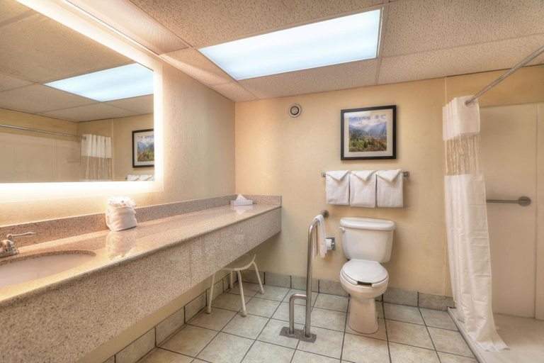 Bathroom 4, Edgewater Hotel - Gatlinburg, Sevier
