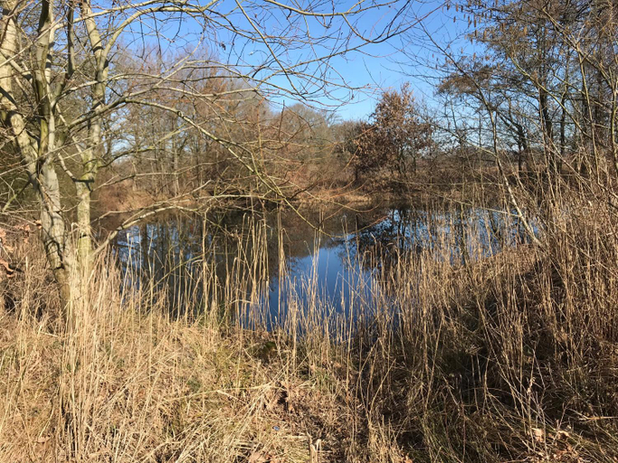Others 4, De Deelderij, Aa en Hunze