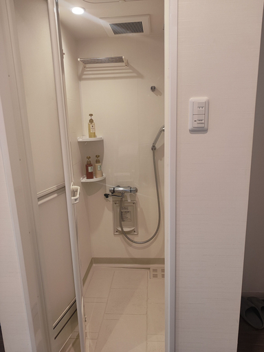 Bathroom 5, Megu Fuji 2021, Fujiyoshida
