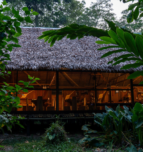 Exterior & Views 2, Ecolucerna Lodge Tambopata, Tambopata