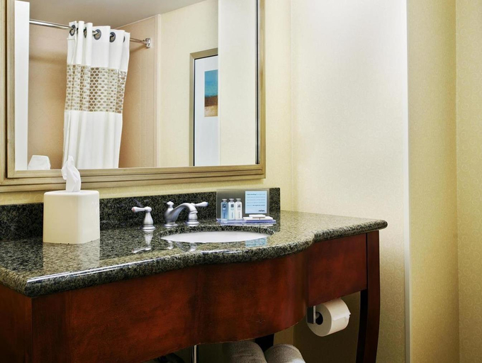 Bathroom 4, Hampton Inn & Suites Little Rock-Downtown, Pulaski