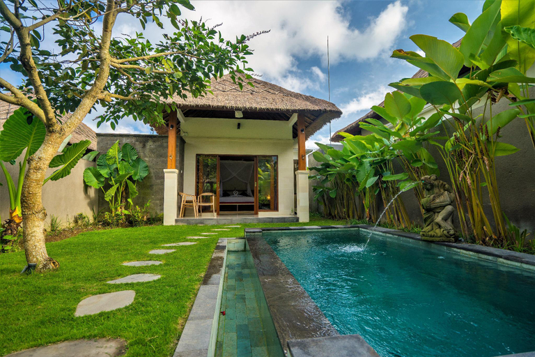 Swimming Pool 14
