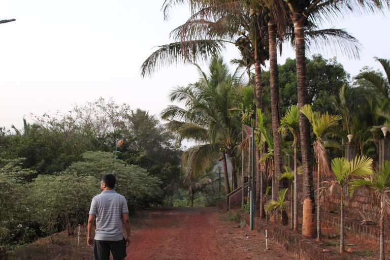 Surrounding environment 3, Bramhagiri Resort, Ratnagiri