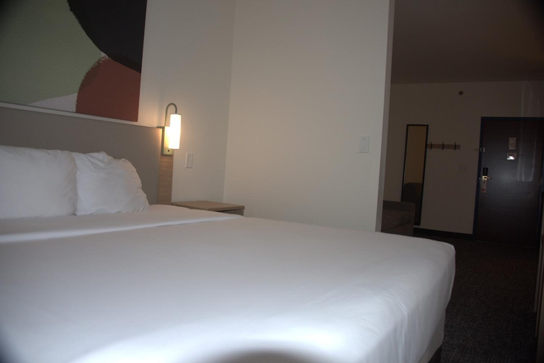 Bedroom 3, Spark by Hilton Amarillo East, Potter