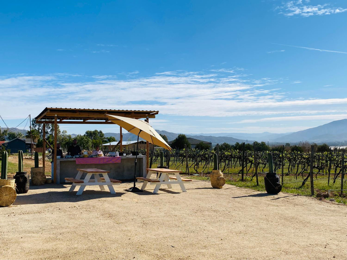 Exterior & Views 1, The Pangea Valle de Guadalupe, Ensenada