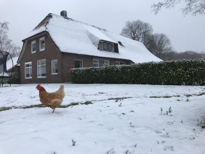 Others 5, De Deelderij, Aa en Hunze