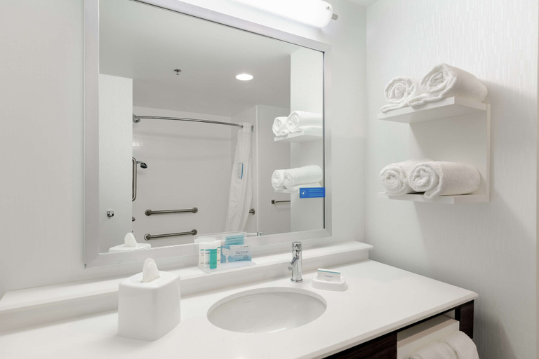 Bathroom 4, Hampton Inn Acworth, Cherokee