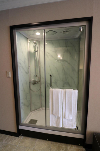 Bathroom 4, Yado Hanasaku, Tateyama
