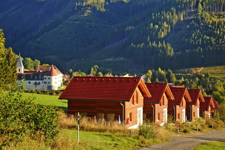 5, Chalet in Gaal by Ski Slopes Bathing Pond, Murtal