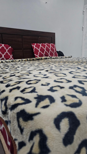 Others 4, Luxury Hotel Rooms, Karachi