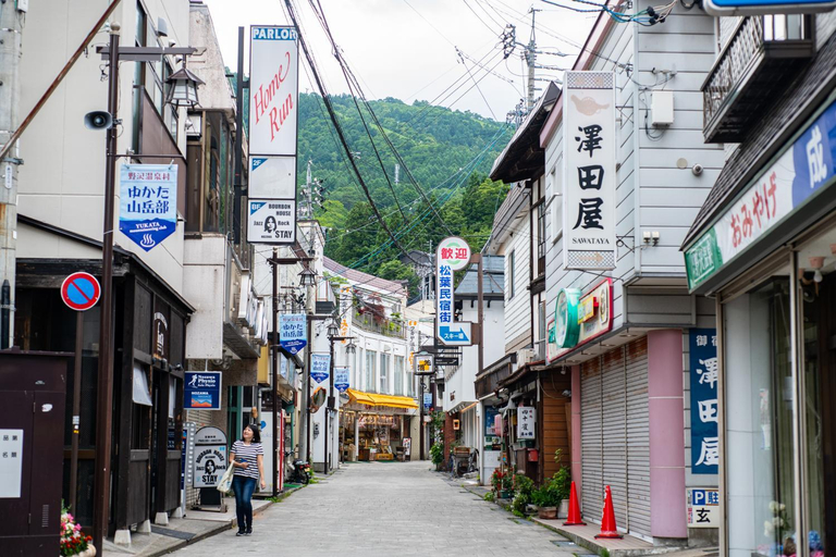 Others 5, Toemu Nozawa, Nozawaonsen