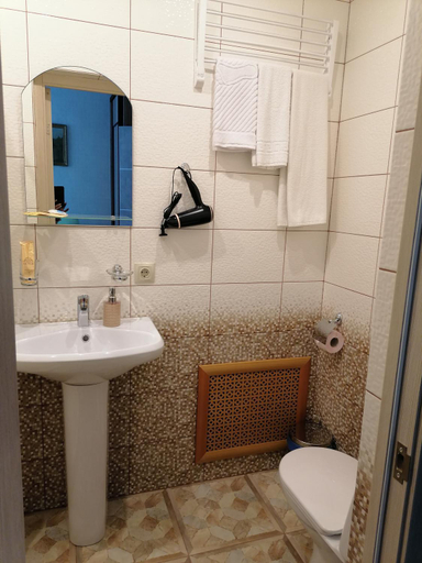 Bathroom 3, Hussar Mini-Hotel, Omskiy rayon