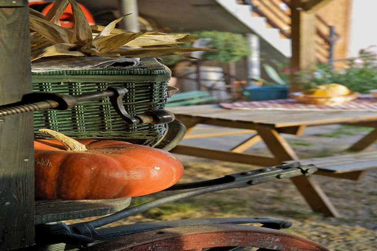 Food & Drinks 5, Studio in Morschwiller, Bas-Rhin