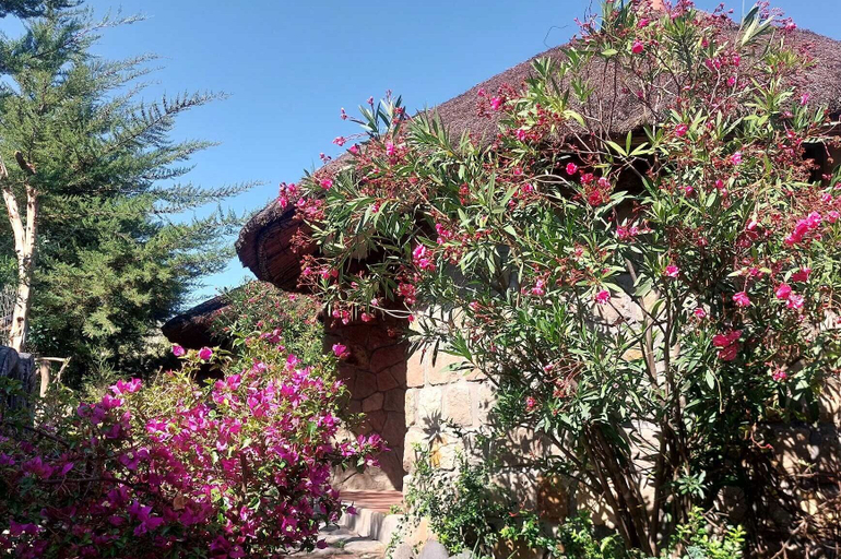 Exterior 4, Bethan Amba ecovillage, Semen Wello