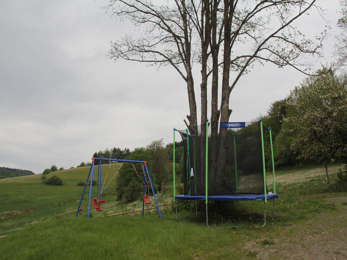 Others 4, Naturrefugium bei Willingen, Hochsauerlandkreis
