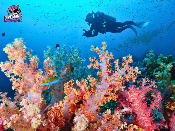 Others 4, Khaolak Dive Resort, Takua Pa