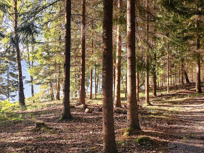 Others 3, Historic Cottage by Lake Yngern, Nykvarn