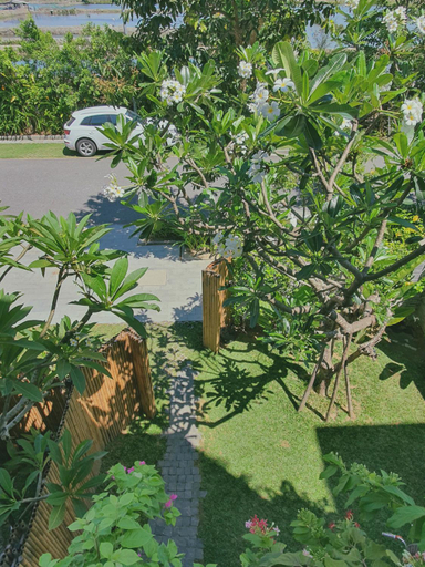 Others 3, MINH - CASA, Da Nang