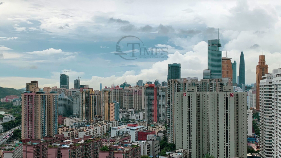 Others 4, Tianxi Royal Suites & Towers branch, Shenzhen