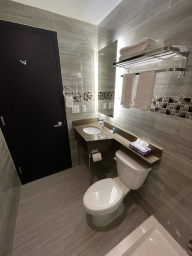 Bathroom 3, Hotel 369 Brooklyn, New York