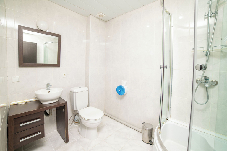Bathroom 2, Rcheuli in Telavi, Telavi